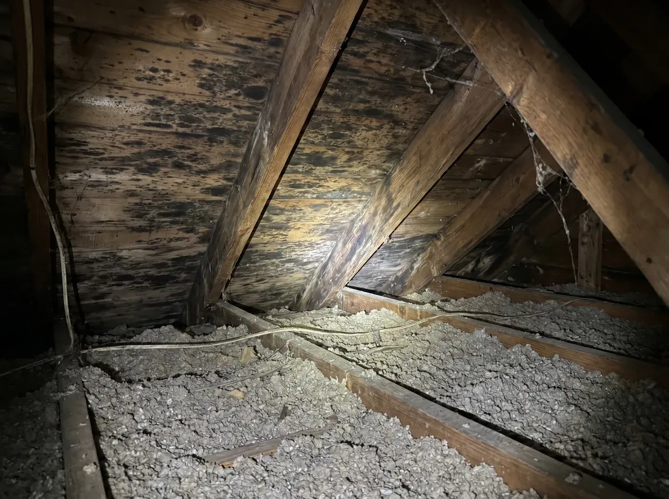 Attic Mold Removal