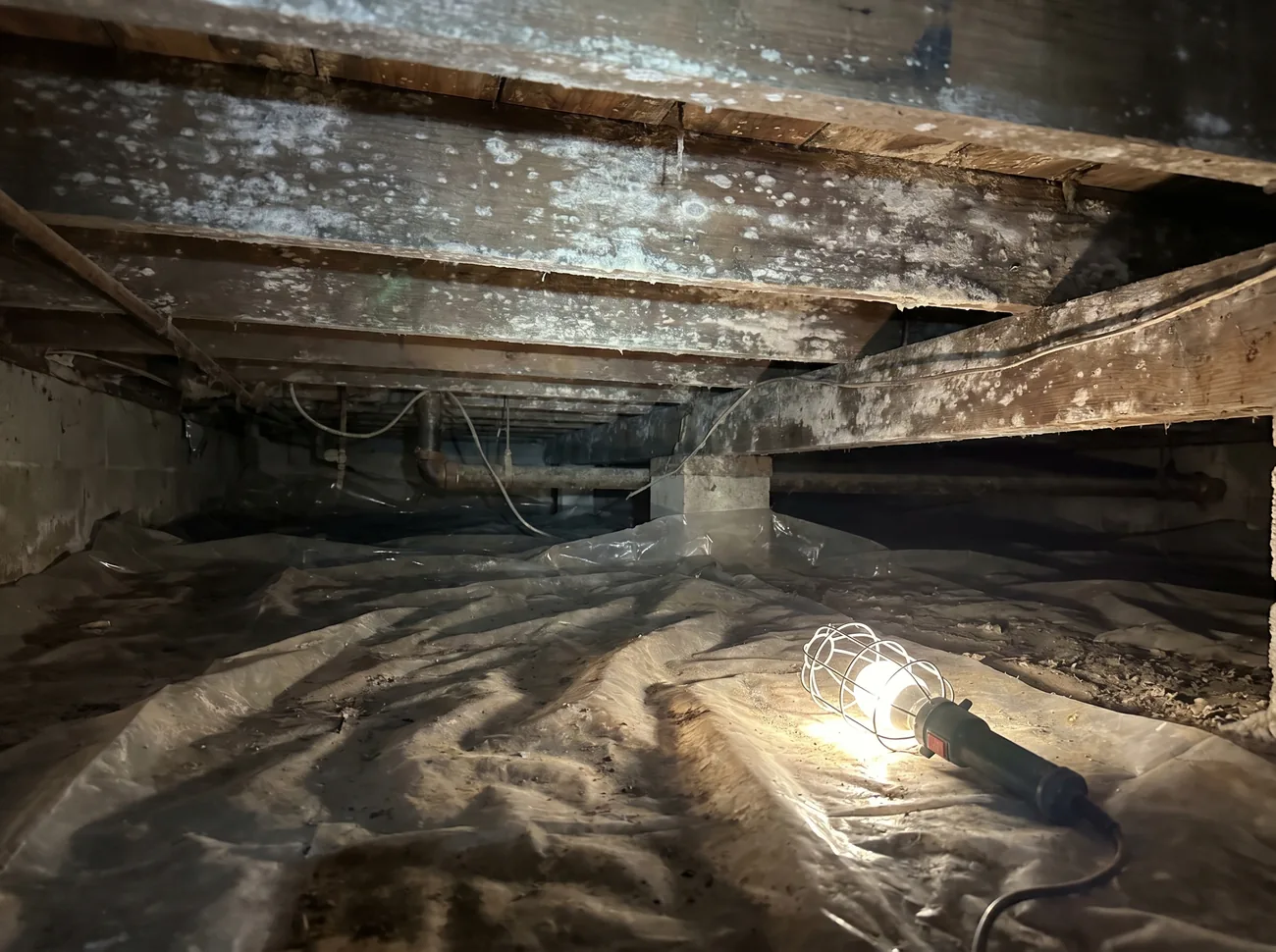 Crawl Space Mold